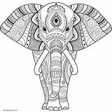 Zentangle Elephant Coloring Page  Free Printable Pages sketch template