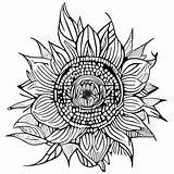 Sunflower Mandalas Coloring Pages · Creative Fabrica sketch template