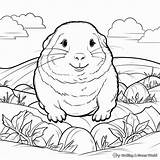 Gopher Coloring Pages  Free & Printable sketch template