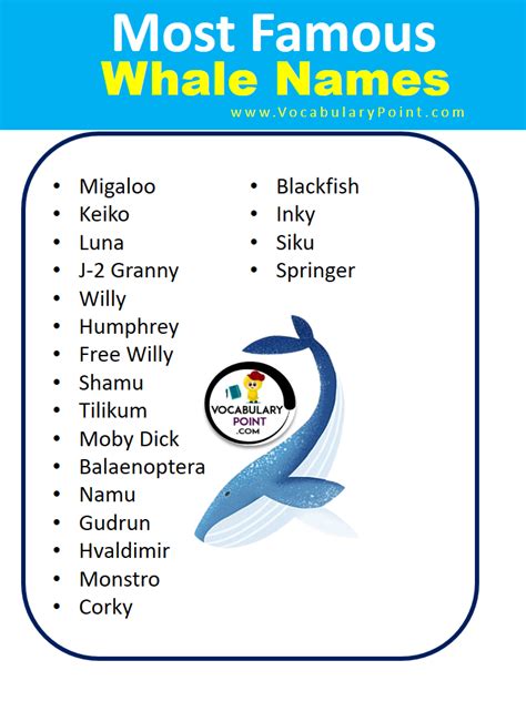 1000+ Best Whale Names (Blue, Famous & Killer) - Vocabulary Point