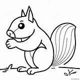 Squirrel Coloring Page 3380 2683 sketch template