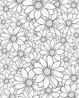 Beautiful Botanical Daisy flower pattern Illustration For coloring book  sketch template
