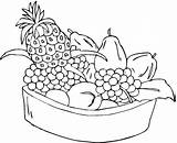 Fruits coloring page sketch template