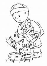 Caillou  Coloring Pages sketch template
