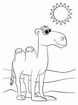 Two Hump Camel In The Desert coloring Page sketch template