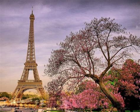 🔥 [50+] Paris in the Spring Wallpapers | WallpaperSafari