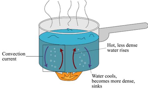 Convection ( Read ) | Physical Science | CK-12 Foundation