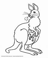 Female Kangaroo And Baby Coloring Pages  Kangaroo Coloring Page sketch template