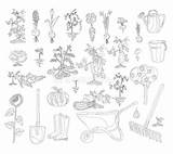 Libro Da Colorare Stabilito Di Giardinaggio Vettore Illustrazione  sketch template