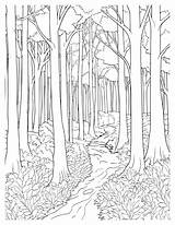 Tranquil Rainforest Canopy Coloring Pages For Natures Beauty sketch template