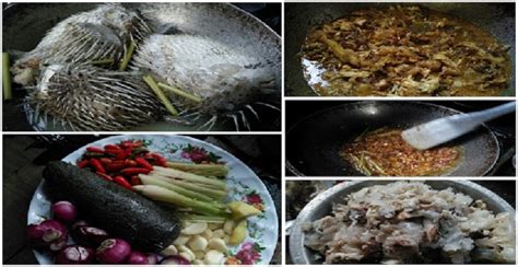 Cara Nak Bersihkan Ikan Buntal & Rasai Kelainan Masakan Dengan Cuba Resepi Istimewa Ikan Buntal ...