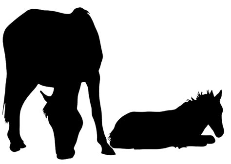 Horse Head Silhouette Clip Art Free - Cliparts.co