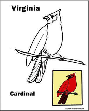 Virginia: State Bird – Cardinal – Abcteach