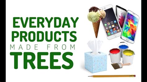 You Won't Believe THESE Products Are Made from Trees | Georgia Forests ...