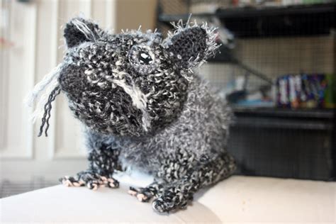 Bosavi woolly rat 3 | Judy van Button | Flickr