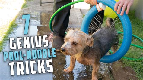 7 Genius Pool Noodle Tricks You Should Know - YouTube