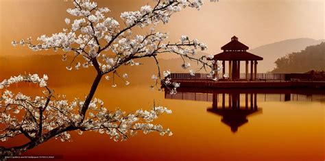 Oriental Desktop Wallpapers - Top Free Oriental Desktop Backgrounds - WallpaperAccess