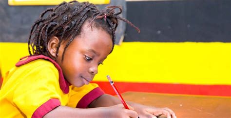 School Curriculum – DREAM AFRICA SCHOOLS NETWORK