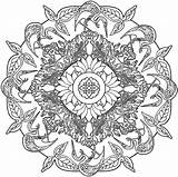 Mandala Coloring Book Nature  coloring Books sketch template