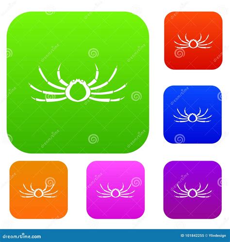 Japanese Spider Crab Set Color Collection Stock Vector - Illustration ...