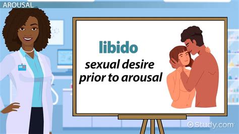 Sexual Intercourse: Stages, Physiological Changes & Regulation - Lesson | Study.com