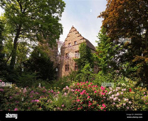 Botanical garden (Gießen, Germany Stock Photo - Alamy