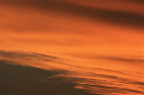 Orange Glow Across The Sky Free Stock Photo - Public Domain Pictures