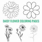 Free Daisy Flower Coloring Pages sketch template