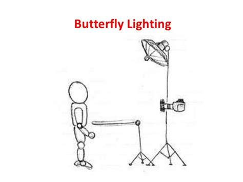 Butterfly Lighting | Butterfly lighting, Light photography, Butterfly