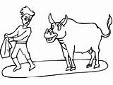 Bull Coloring Toreador Pages Matador Printable Color Kolorowanka  sketch template