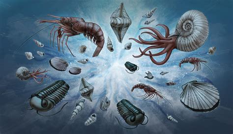 Cambrian Explosion Illustratio [IMAGE] | EurekAlert! Science News Releases