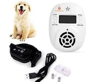 7 Best Wireless Dog Fence & Reviews [2020 Updated] - Pet Life World