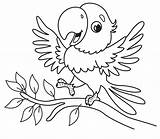 Happy Parrot Coloring Page  Download Print Or Color Online For Free sketch template