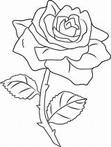 Free Printable Coloring Pages Of Roses  Templates sketch template