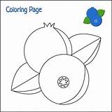 Premium Vector  Blueberry coloring page sketch template