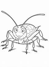 Colorare Scarafaggio Kakkerlak Cucaracha Cafard Kleurplaat Coloring  sketch template