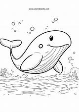 Whale Coloring Pages  113 Free PDF Printables sketch template