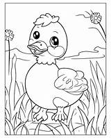 Disegni Da colorare Di Uccelli Carini Per Bambini  sketch template