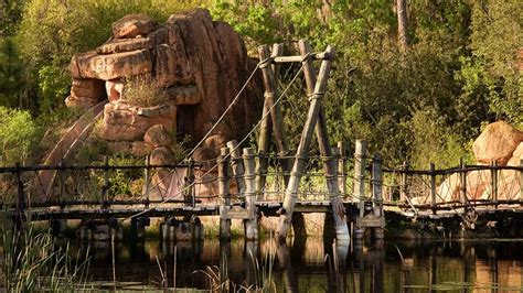 Eerie abandoned Disney water park where boy was killed has been left to ...