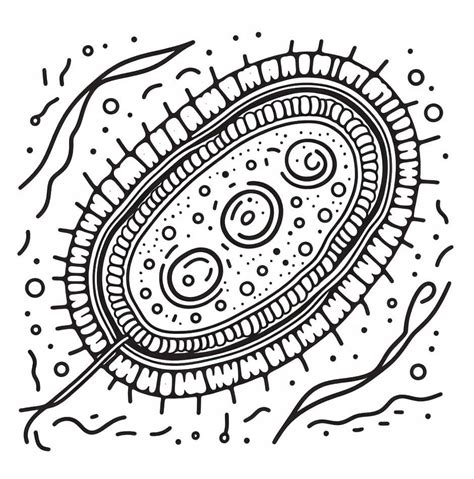 Free Printable Bacteria coloring page - Download, Print or Color Online for Free