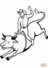 Rodeo Bull Rider coloring page  Free Printable Coloring Pages sketch template