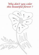 Printable Lily Flower coloring Pages k5 worksheets  sketch template