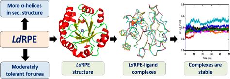 ribose-5-phosphate isomerase deficiency