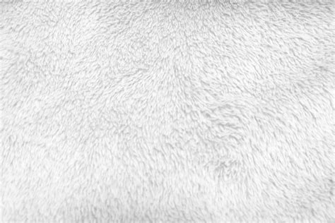 White clean wool texture background. light natural sheep wool. white seamless cotton. texture of ...