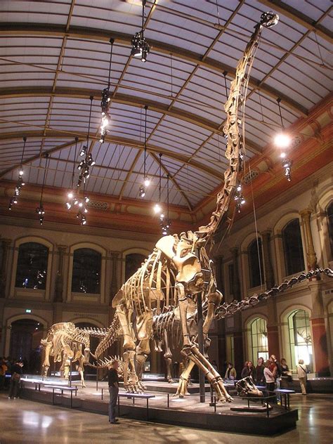 12 World’s Best Dinosaur Museums | Paleontology World