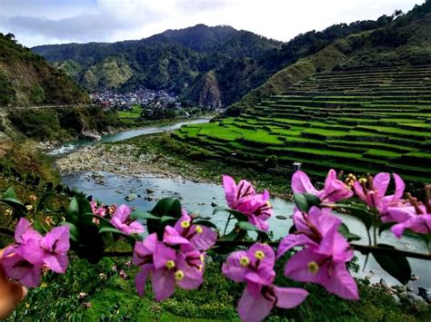 Banaue Rice Terraces - When NOT to Explore this Highlight of the ...