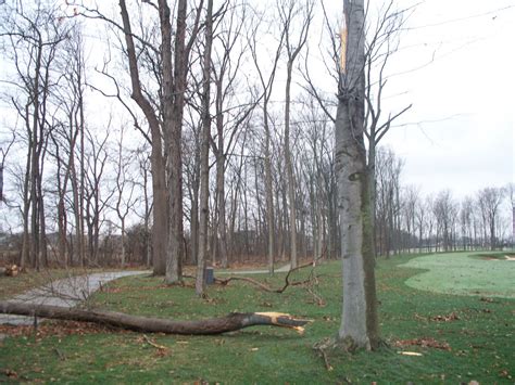 The Sagamore Club: Storm Damage at Sagamore