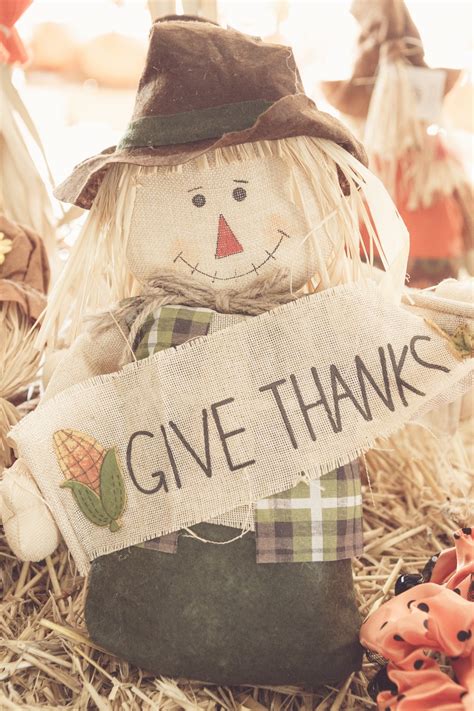 Thanksgiving Scarecrow Free Stock Photo - Public Domain Pictures