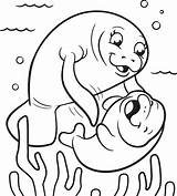 Manatee Coloring Pages sketch template
