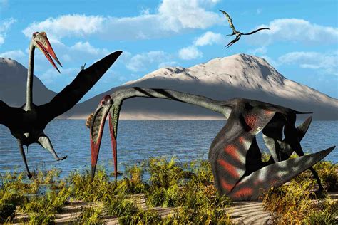 10 datos sobre Quetzalcoatlus, el pterosaurio más grande del mundo